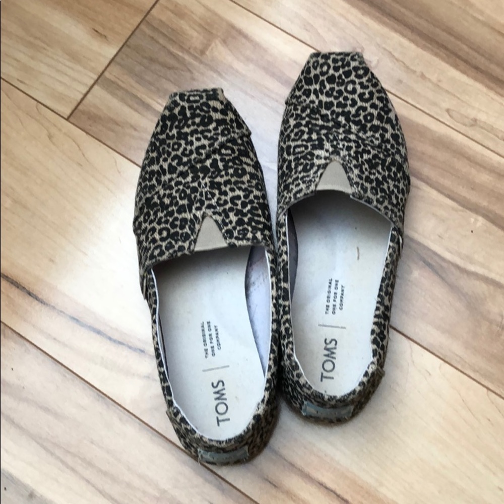 Toms 5.5